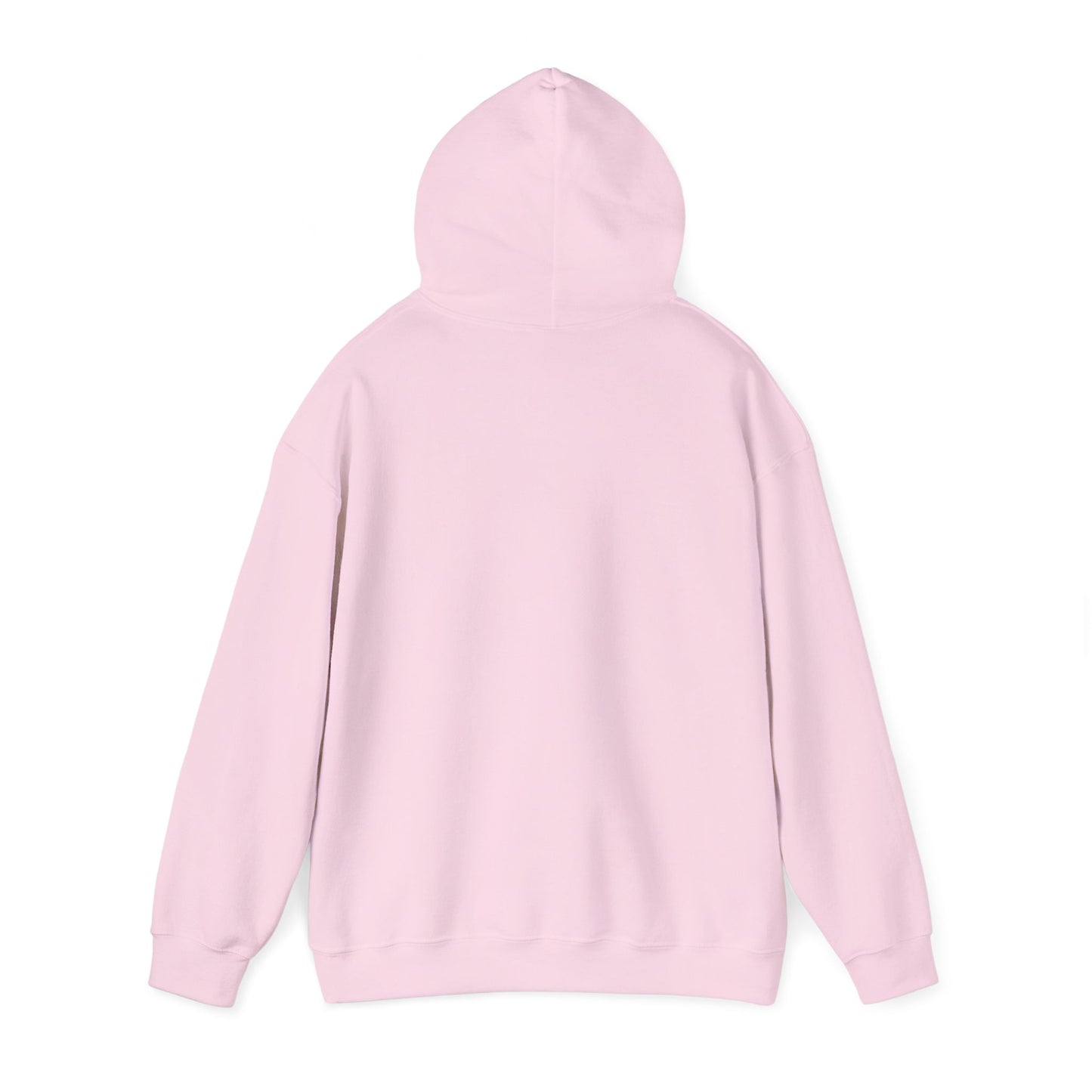 The Airplane Hoodie