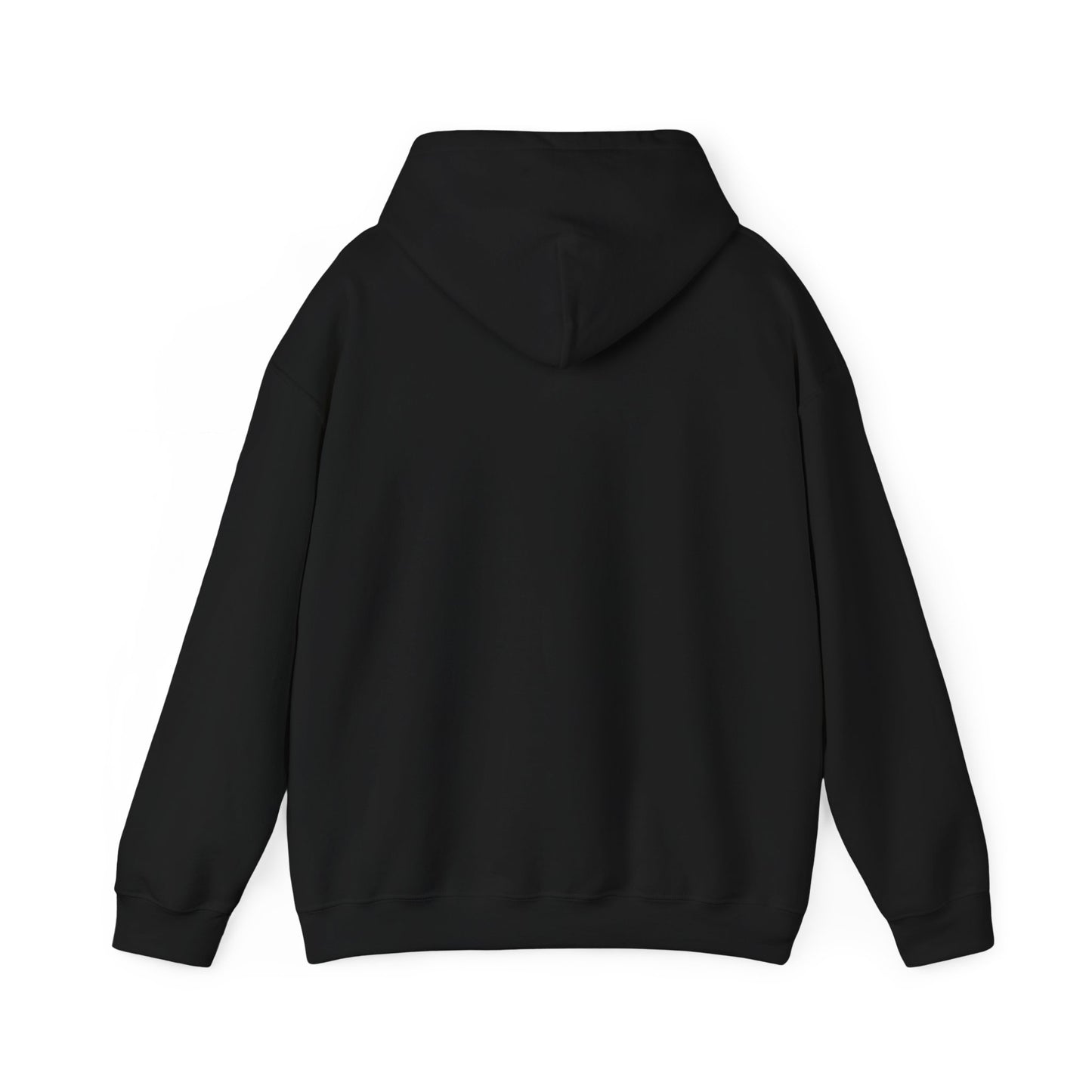 The Airplane Hoodie