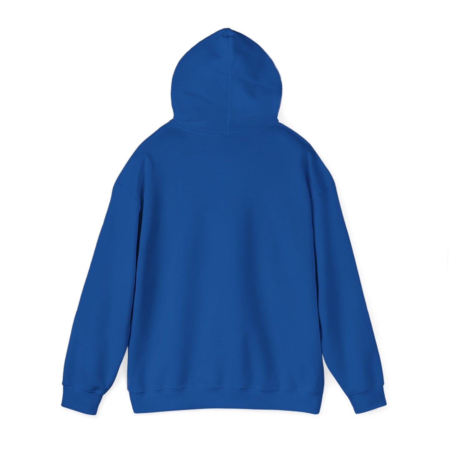 The Airplane Hoodie