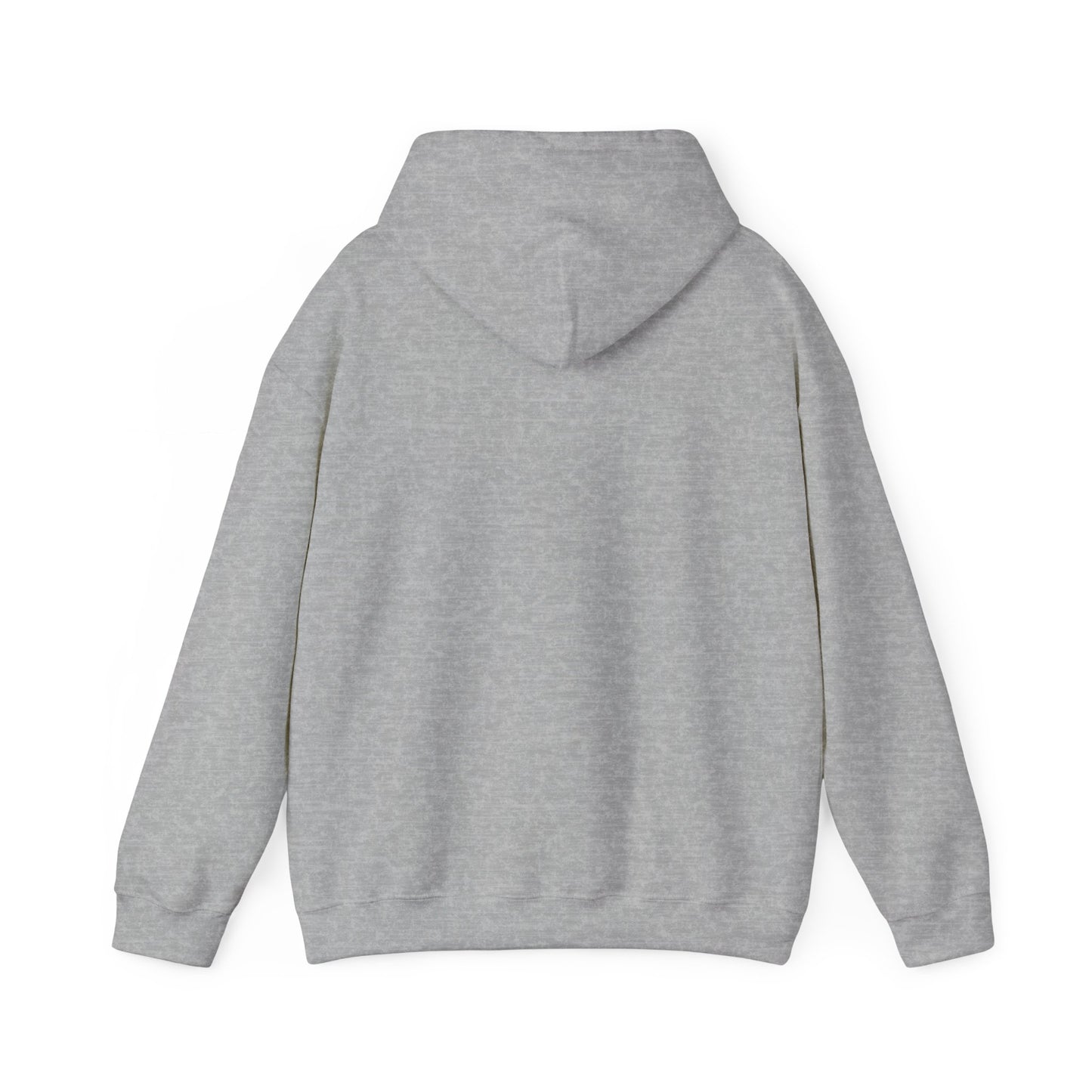 The Airplane Hoodie