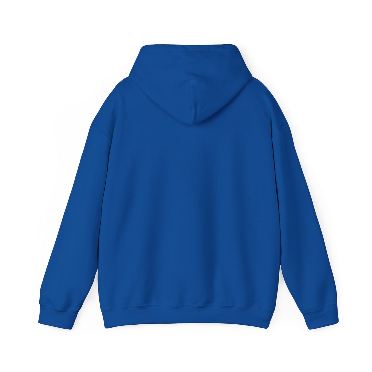 The Airplane Hoodie
