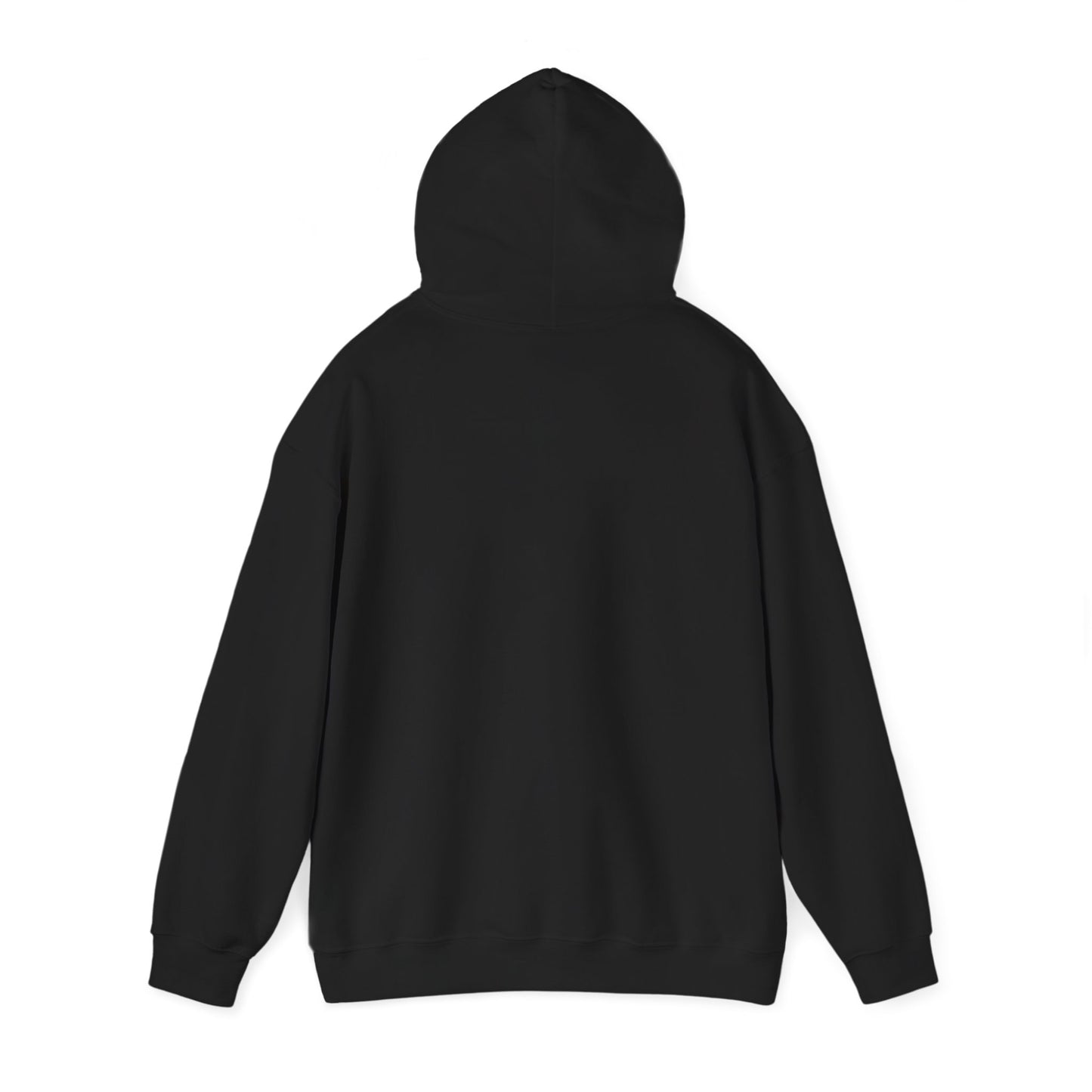 The Airplane Hoodie
