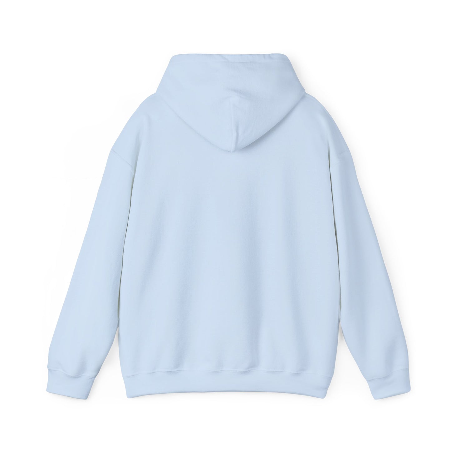 The Airplane Hoodie