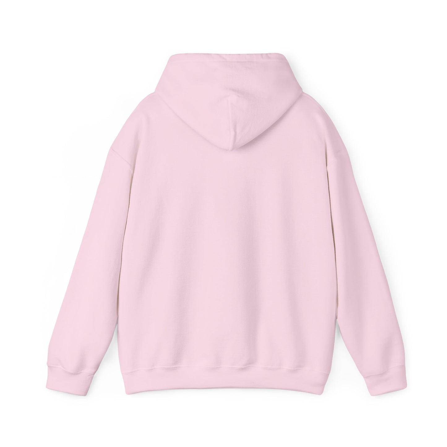 The Airplane Hoodie