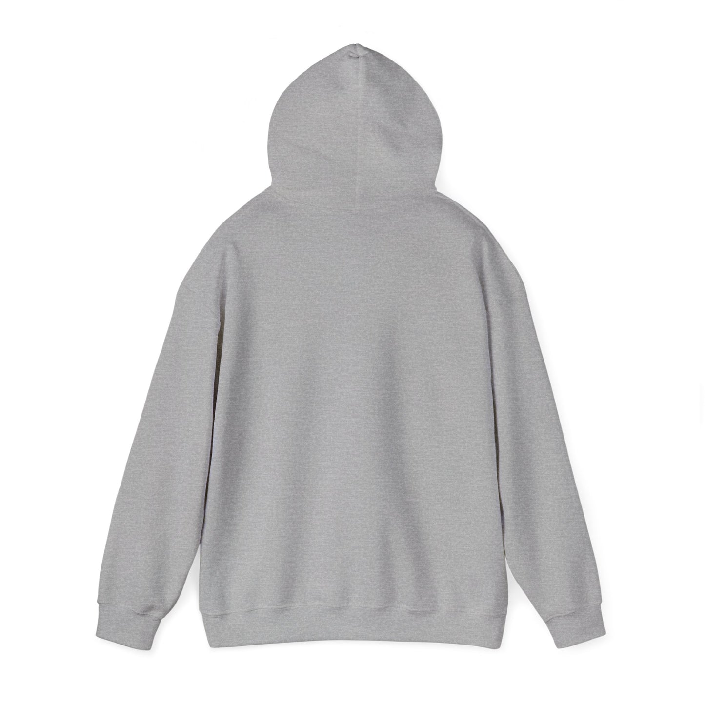The Airplane Hoodie