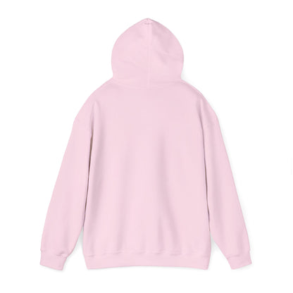 The Airplane Hoodie