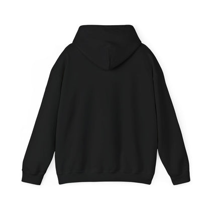 The Airplane Hoodie