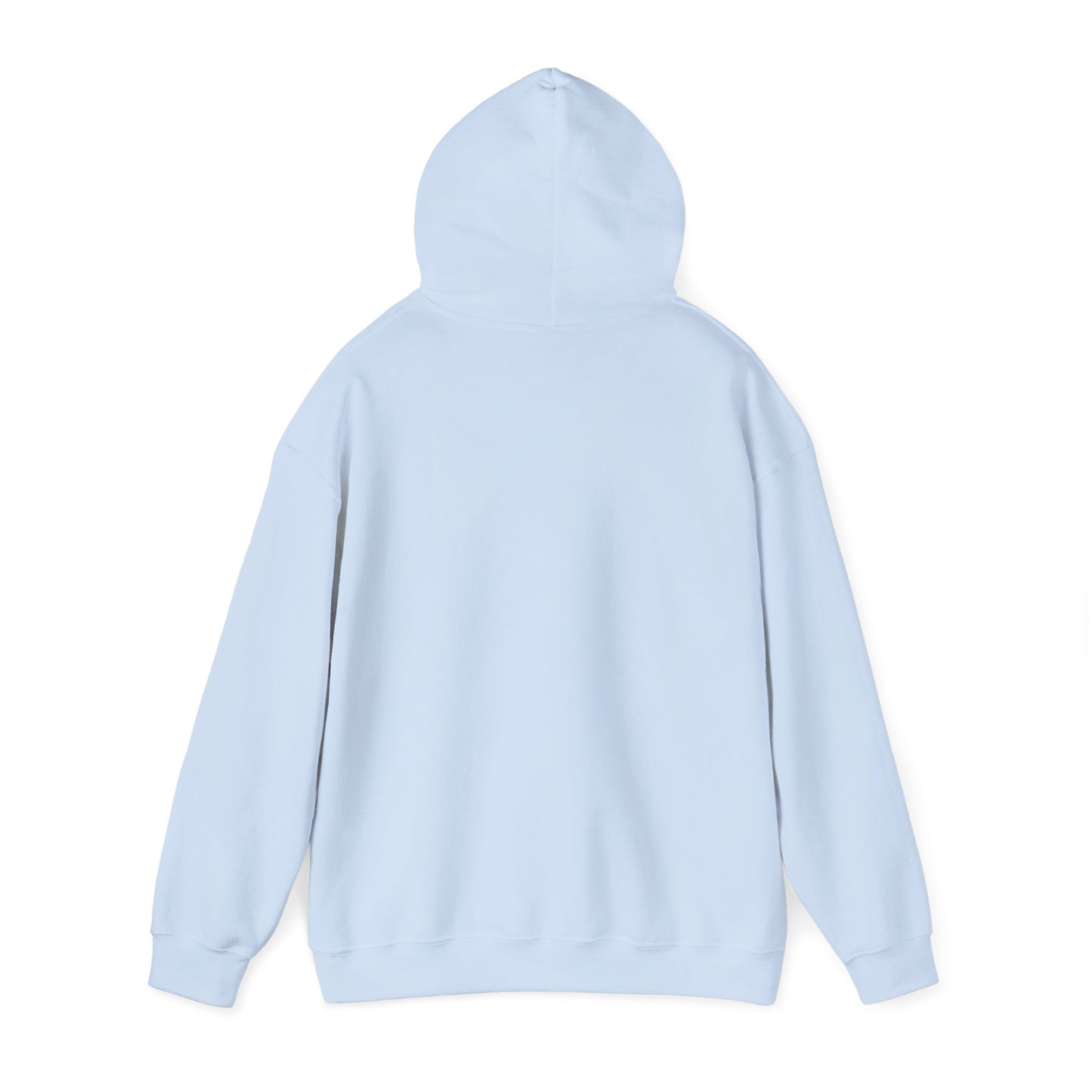 The Airplane Hoodie