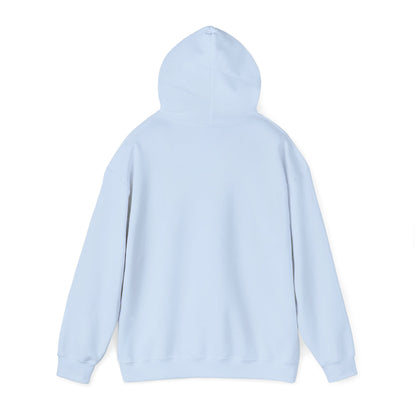 The Airplane Hoodie