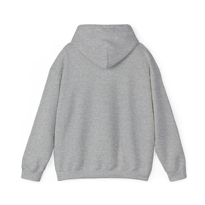 The Airplane Hoodie