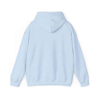 The Airplane Hoodie