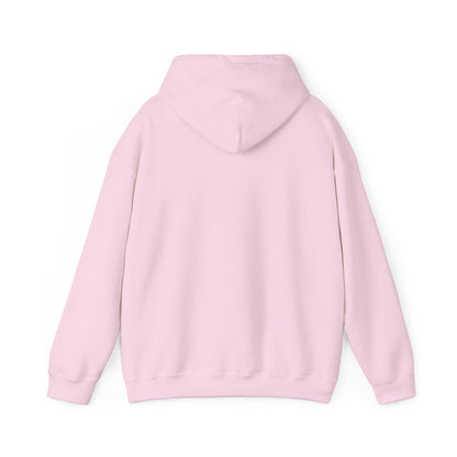 The Airplane Hoodie
