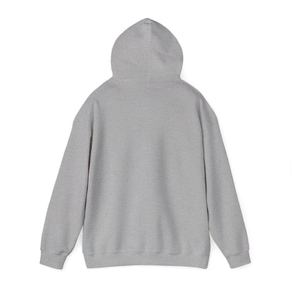 The Airplane Hoodie